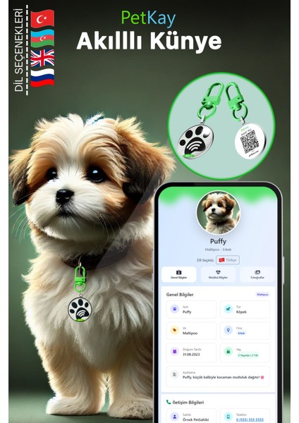 Köpekler Için Akıllı Künye, Nfc Dijital Isimlik Ve Tasma Künyesi Qr Kod Künye Paslanmaz Çelik Yeşil isimli Köpek Tasması, Köpek isimlik