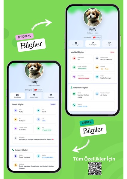 Köpekler Için Akıllı Künye, Nfc Dijital Isimlik Ve Tasma Künyesi Qr Kod Künye Paslanmaz Çelik Yeşil isimli Köpek Tasması, Köpek isimlik fırsatları