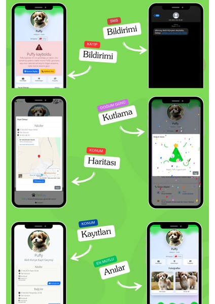 Köpekler Için Akıllı Künye, Nfc Dijital Isimlik Ve Tasma Künyesi Qr Kod Künye Paslanmaz Çelik Yeşil isimli Köpek Tasması, Köpek isimlik indirimleri