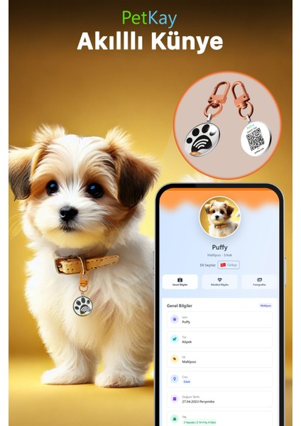 Köpekler Için Akıllı Künye, Nfc Dijital Isimlik Ve Tasma Künyesi Qr Kod Künye Paslanmaz Çelik Turuncu isimli Köpek Tasması, Köpek isimlik