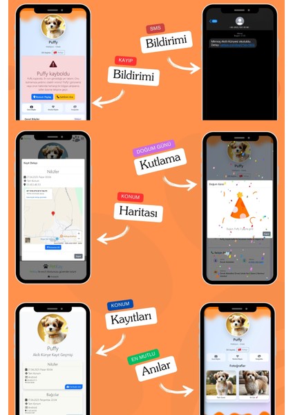 Köpekler Için Akıllı Künye, Nfc Dijital Isimlik Ve Tasma Künyesi Qr Kod Künye Paslanmaz Çelik Turuncu isimli Köpek Tasması, Köpek isimlik indirimleri