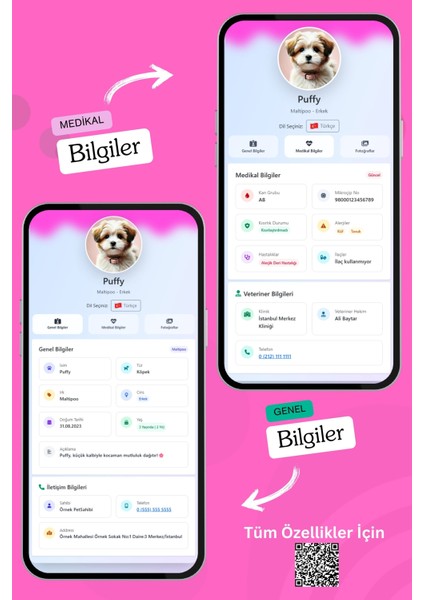 Köpekler Için Akıllı Künye, Nfc Dijital Isimlik Ve Tasma Künyesi Qr Kod Künye Paslanmaz Çelik Turuncu isimli Köpek Tasması, Köpek isimlik fırsatları