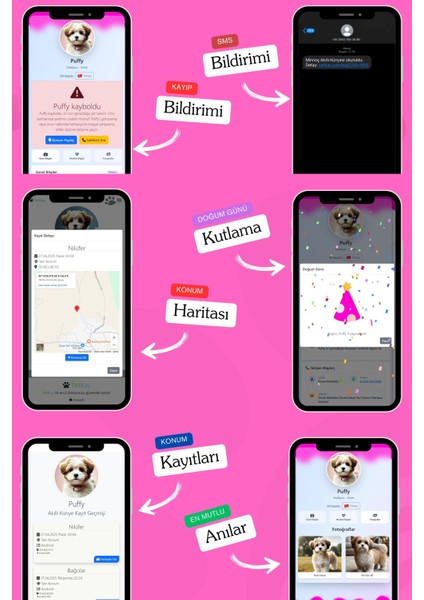 Köpekler Için Akıllı Künye, Nfc Dijital Isimlik Ve Tasma Künyesi Qr Kod Künye Paslanmaz Çelik Turuncu isimli Köpek Tasması, Köpek isimlik indirimleri