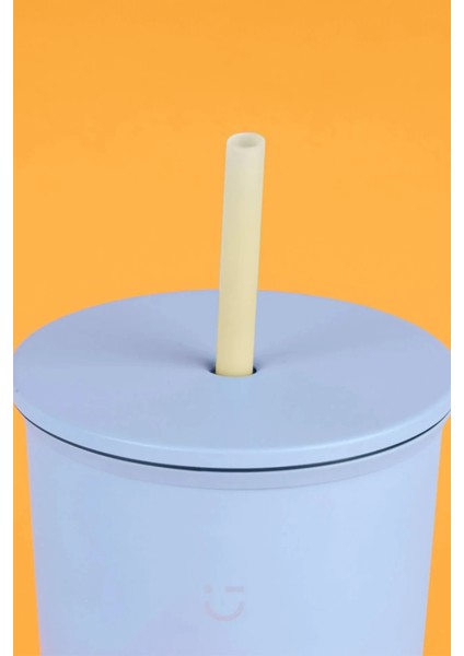 Gradyan Serisi Pipetli Çelik Suluk Termos (800ML) fiyatları