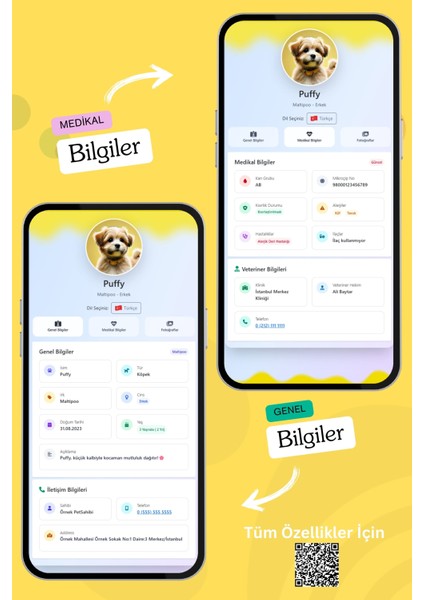 Köpekler Için Akıllı Künye, Nfc Dijital Isimlik Ve Tasma Künyesi Qr Kod Künye Paslanmaz Çelik sarı isimli Köpek Tasması, Köpek isimlik fırsatları
