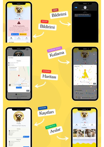 Köpekler Için Akıllı Künye, Nfc Dijital Isimlik Ve Tasma Künyesi Qr Kod Künye Paslanmaz Çelik sarı isimli Köpek Tasması, Köpek isimlik indirimleri