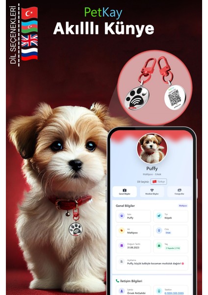 Köpekler Için Akıllı Künye, Nfc Dijital Isimlik Ve Tasma Künyesi Qr Kod Künye Paslanmaz Çelik Kırmızı isimli Köpek Tasması, Köpek isimlik