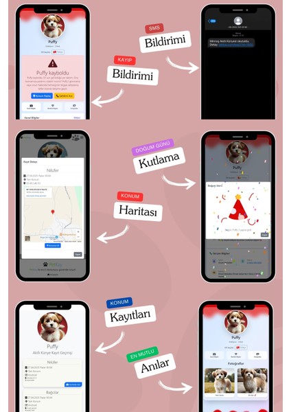 Köpekler Için Akıllı Künye, Nfc Dijital Isimlik Ve Tasma Künyesi Qr Kod Künye Paslanmaz Çelik Kırmızı isimli Köpek Tasması, Köpek isimlik indirimleri