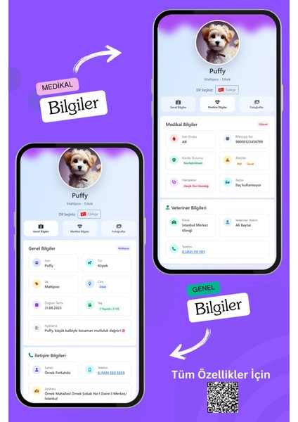 Köpekler Için Akıllı Künye, Nfc Dijital Isimlik Ve Tasma Künyesi Qr Kod Künye Paslanmaz Çelik Mor İsimli Köpek Tasması, Köpek İsimlik fırsatları