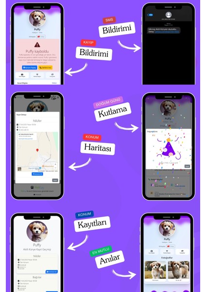 Köpekler Için Akıllı Künye, Nfc Dijital Isimlik Ve Tasma Künyesi Qr Kod Künye Paslanmaz Çelik Mor İsimli Köpek Tasması, Köpek İsimlik indirimleri