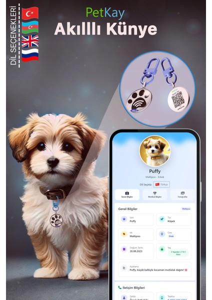 Köpekler Için Akıllı Künye, Nfc Dijital Isimlik Ve Tasma Künyesi Qr Kod Künye Paslanmaz Çelik Mavi isimli Köpek Tasması, Köpek isimlik