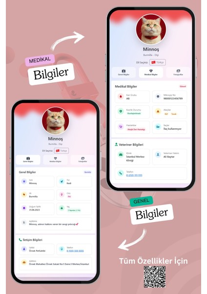 Kediler Için Akıllı Künye, Nfc Dijital Isimlik Ve Tasma Künyesi Qr Kod Künye Paslanmaz Çelik Kırmızı İsimli Kedi Tasması, Kedi İsimlik fırsatları