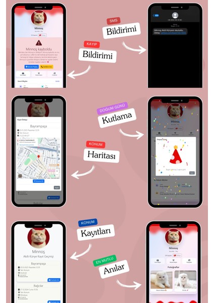 Kediler Için Akıllı Künye, Nfc Dijital Isimlik Ve Tasma Künyesi Qr Kod Künye Paslanmaz Çelik Kırmızı İsimli Kedi Tasması, Kedi İsimlik indirimleri