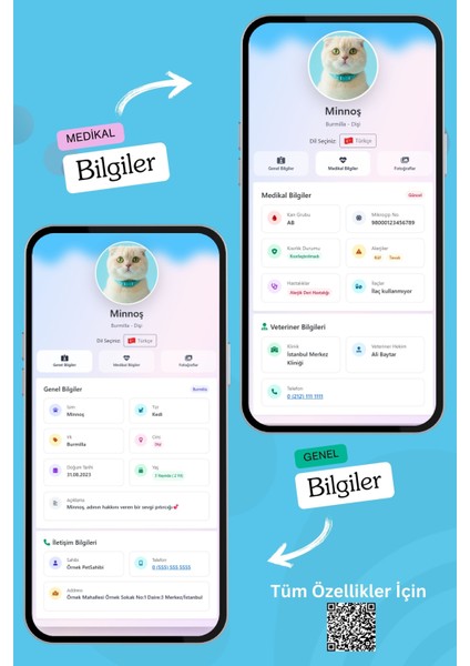 Kediler Için Akıllı Künye, Nfc Dijital Isimlik Ve Tasma Künyesi Qr Kod Künye Paslanmaz Çelik Mavi İsimli Kedi Tasması, Kedi İsimlik fırsatları