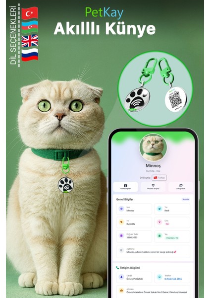 Kediler Için Akıllı Künye, Nfc Dijital Isimlik Ve Tasma Künyesi Qr Kod Künye Paslanmaz Çelik Yeşil İsimli Kedi Tasması, Kedi İsimlik