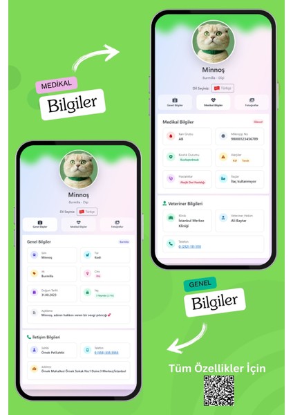 Kediler Için Akıllı Künye, Nfc Dijital Isimlik Ve Tasma Künyesi Qr Kod Künye Paslanmaz Çelik Yeşil İsimli Kedi Tasması, Kedi İsimlik fırsatları