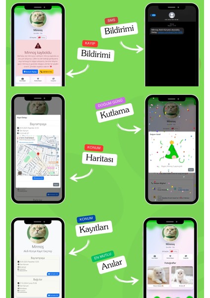Kediler Için Akıllı Künye, Nfc Dijital Isimlik Ve Tasma Künyesi Qr Kod Künye Paslanmaz Çelik Yeşil İsimli Kedi Tasması, Kedi İsimlik indirimleri