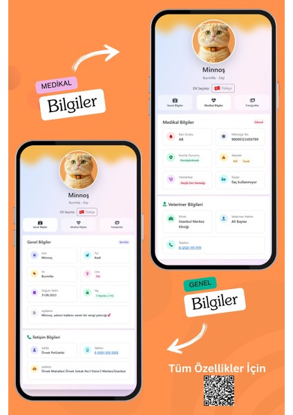 Kediler Için Akıllı Künye, Nfc Dijital Isimlik Ve Tasma Künyesi Qr Kod Künye Paslanmaz Çelik Turuncu İsimli Kedi Tasması, Kedi İsimlik fırsatları