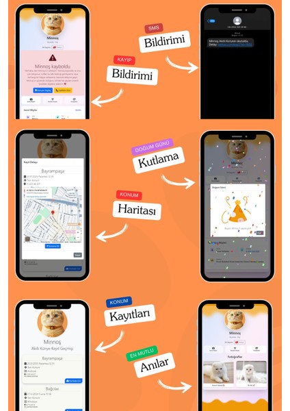 Kediler Için Akıllı Künye, Nfc Dijital Isimlik Ve Tasma Künyesi Qr Kod Künye Paslanmaz Çelik Turuncu İsimli Kedi Tasması, Kedi İsimlik indirimleri