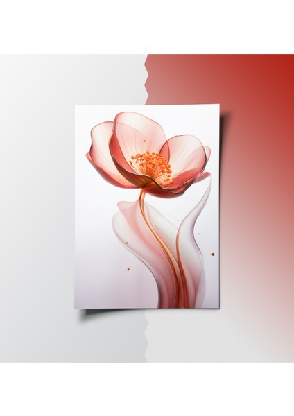 Çerçevesiz Poster Kırmızı Çiçek Temalı, Dijital Baskı Kırmızı Çiçek Poster,i Ofis, Salon Dekorasyon Poster modelleri
