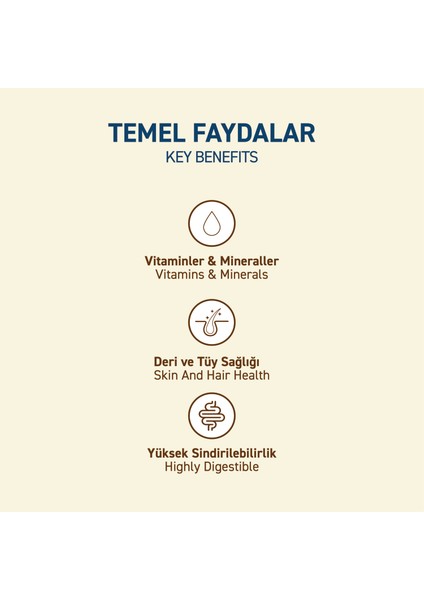 Tavuklu Kuru Yetişkin Kedi Maması 10 Kg fırsatları