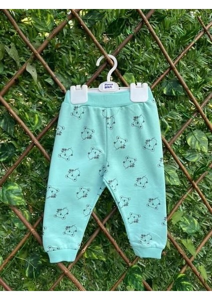 Kız Bebek Koala Desenli 2 Iplik Mevsimlik Alt & Üst Takım 18-24 Ay fırsatları