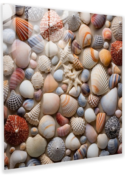 Deniz Kabukları Temalı Cam Tablo - Dekorasyon Deniz Duvar Dekorasyonu - Canlı Yaşam
