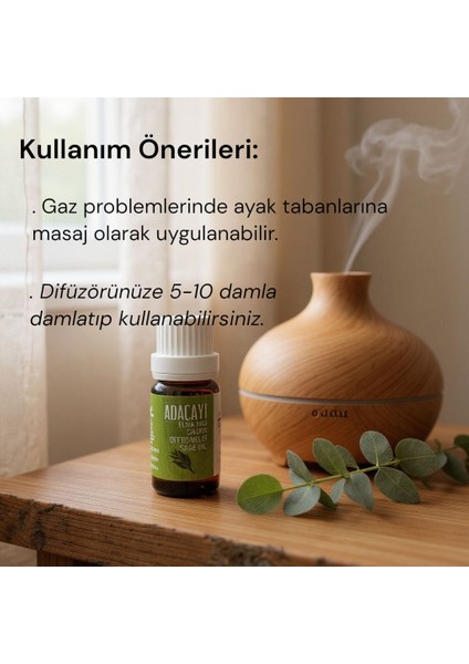 Panlıfe Adaçayı ( Elma ) Yağı 10 ml %100 Saf Analiz Sertifikalı ( Markamız Eczacı Kuruluşudur.) fiyatları
