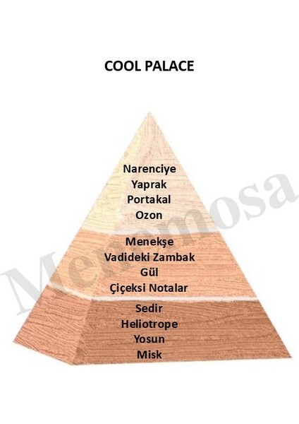 Bahar Çiçeği Dekoratif Oda Parfümü 120ML Cool Place - Bahar Çiçeği fiyatları