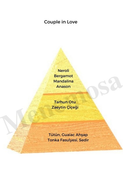 Avenue + Couple In Love Erkek Parfüm 50 ml Edp Oriental - MNMS50AVECPL modelleri