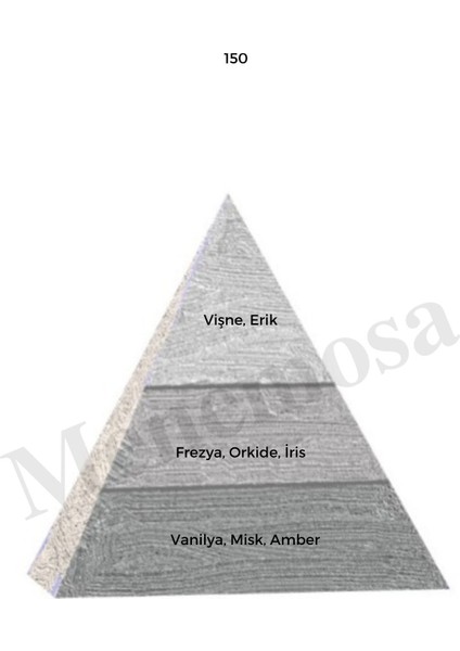 150 + 536 Kadın / Erkek Parfüm Edp 50 ml Woody / Fresh - MNMS150536 fiyatları