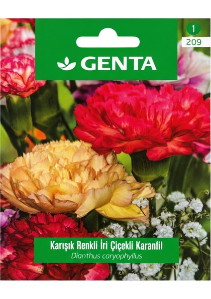 Prestige Karışık Renkli Iri Çiçekli Karanfil Tohumu – Kalıcı, Kokulu ve Pozitif Gelişimli Bahçe Çiçeği