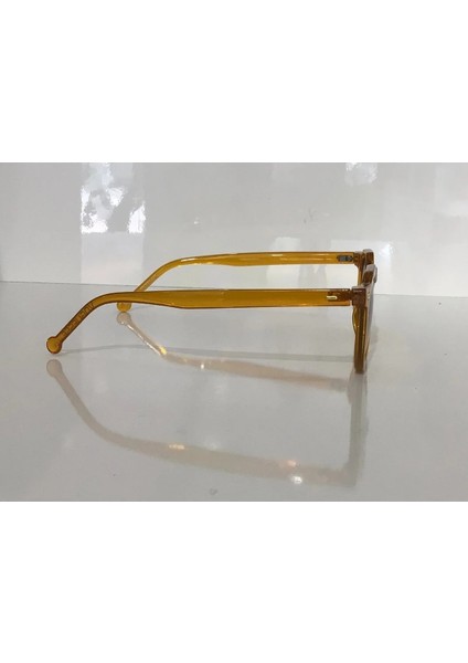 MOD5506 C09 43 Güneş Gözlüğü modelleri