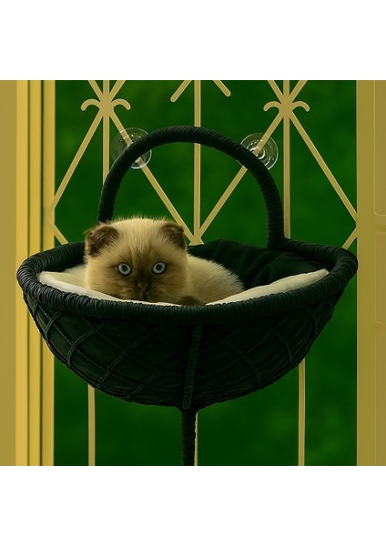 Gezegen Kedi Cam Yatağı & V Cam Yatağı & Kedi Pencere Yatağı