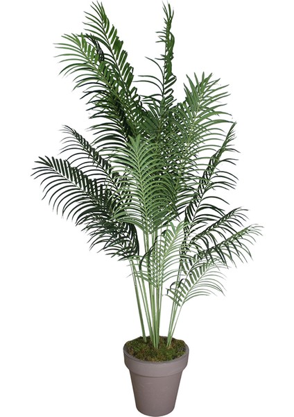Yapay Kentia Palmiye Ağacı Gerçek Dokunuş Yeşil 200 cm