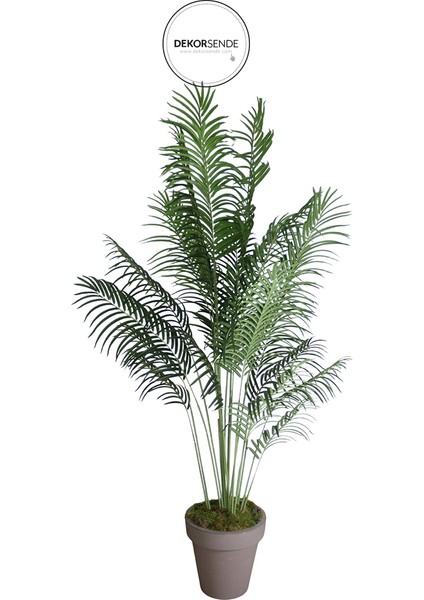 Yapay Kentia Palmiye Ağacı Gerçek Dokunuş Yeşil 200 cm fiyatları