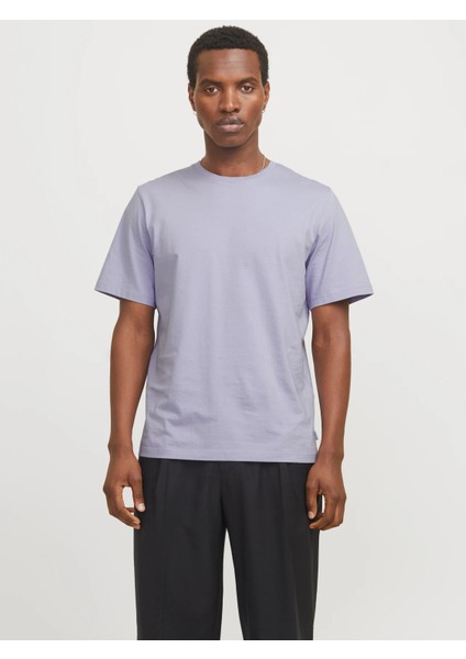 Jerkek Pamuklu Mavi Bisiklet Yaka Tişört 12156101