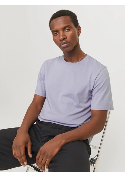 Jerkek Pamuklu Mavi Bisiklet Yaka Tişört 12156101 fiyatları