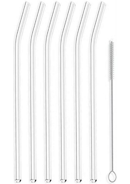 Cam Pipet 6lı Temizleme Fırçalı