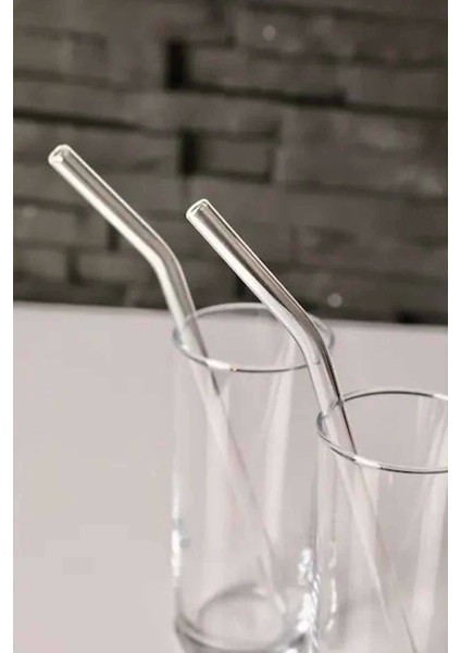 Cam Pipet 6lı Temizleme Fırçalı fiyatları