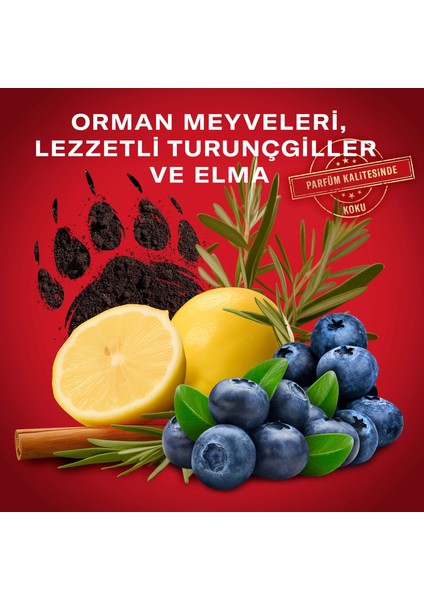 Bearglove Erkek Duş Jeli ve Şampuan 400 ml indirimleri