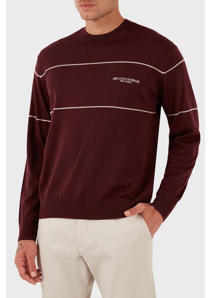 Yünlü Şerit Detaylı Regular Fit Bisiklet Yaka Kazak Erkek Kazak EM002796 AF14199 M5065 modelleri