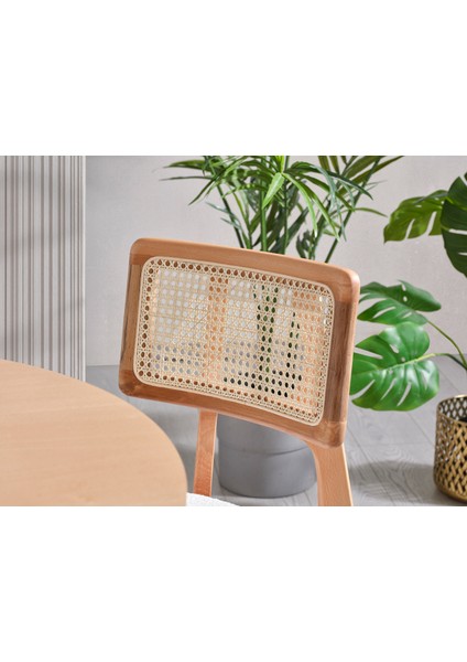 Alberohome Melodi Masa Takımı modelleri