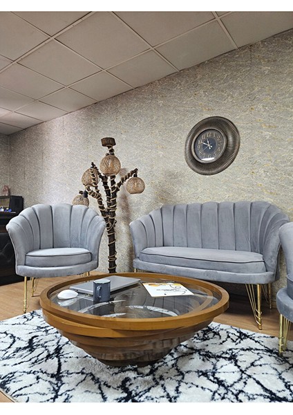 Istiridye Takım Gold Kaplama Telli Ayak Çay Seti Koltuk Takımı Gri Renk 110 x 48 Boyut/ebat fırsatları