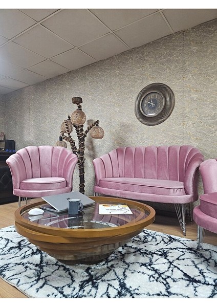 Istiridye Takım Krom Kaplama Telli Ayak Çay Seti Koltuk Takımı Pembe Renk 110 x 48 Boyut/ebat fırsatları