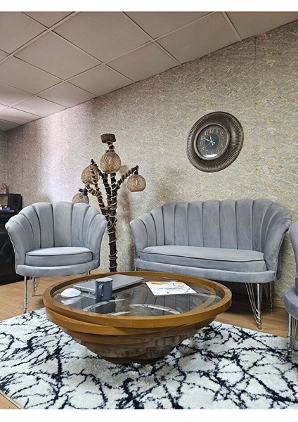 Istiridye Takım Krom Kaplama Telli Ayak Çay Seti Koltuk Takımı Gri Renk 110 x 48 Boyut/ebat fırsatları