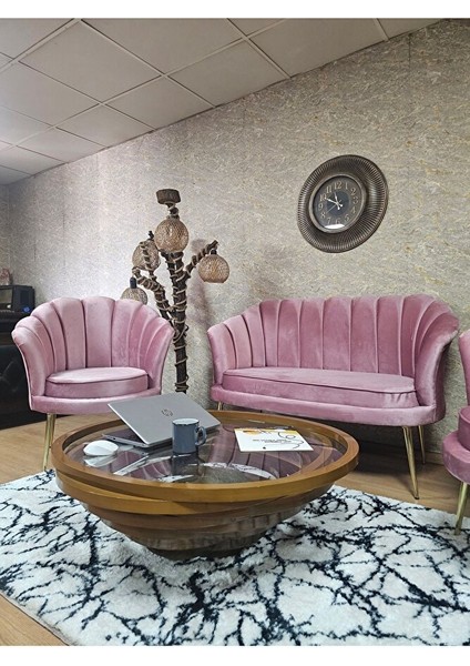 Istiridye Takım Gold Kaplama Sivriltme Ayak Çay Seti Koltuk Takımı Pembe Renk 110 x 48 Boyut/ebat fırsatları