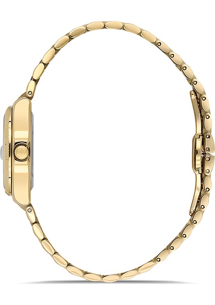 CS262G-08SG Kadın Kol Saati fiyatları