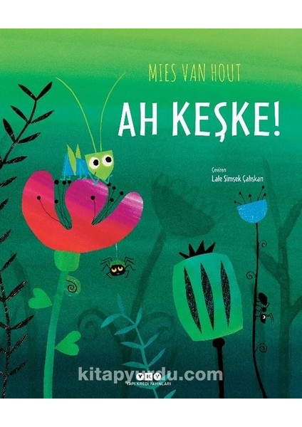 Bir Gün Tavşan Kralken ve Ah Keşke - 2 Adet Yky Yayınları Kitap fiyatları
