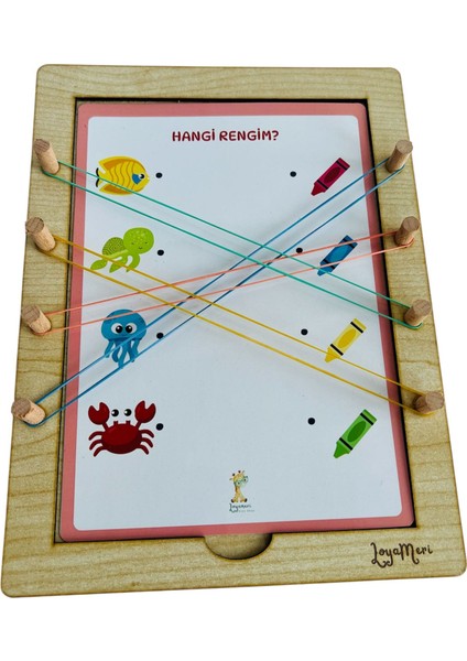 Lastikli Eşleme Tablası, Ince Motor Etkinlik, Okulöncesi, Özel Eğitim Etkinlik Seti